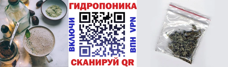 купить наркоту MEGA как войти Печенье с ТГК конопля Минусинск