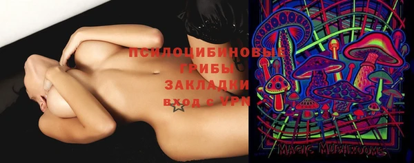 мдпв Бронницы