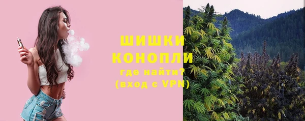 индика Бородино
