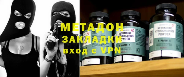 индика Бородино