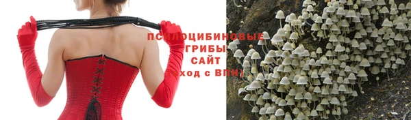 эйфоретик Бугульма