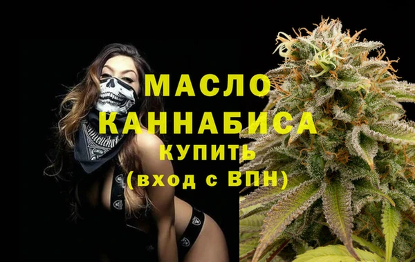 индика Бородино