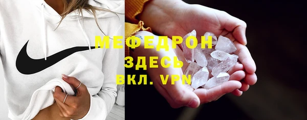 индика Бородино