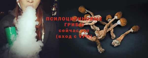 мдпв Бронницы