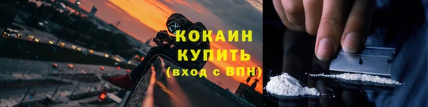 индика Бородино