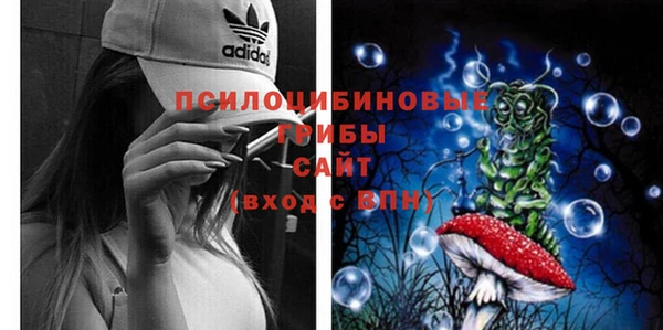 тгк Богданович