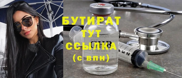 индика Бородино