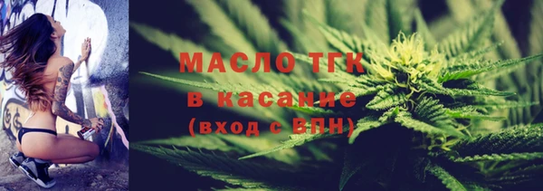 индика Бородино