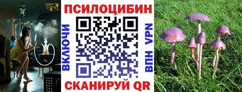 купить наркотик  Минусинск  mega вход  Галлюциногенные грибы GOLDEN TEACHER 